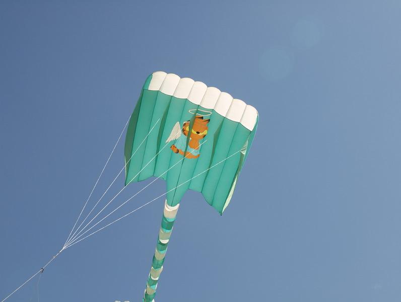 Fanø 2009 51.jpg